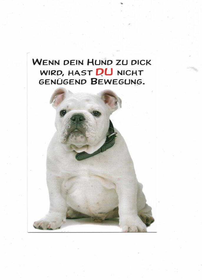 Postkarte A6 Hund zu dick