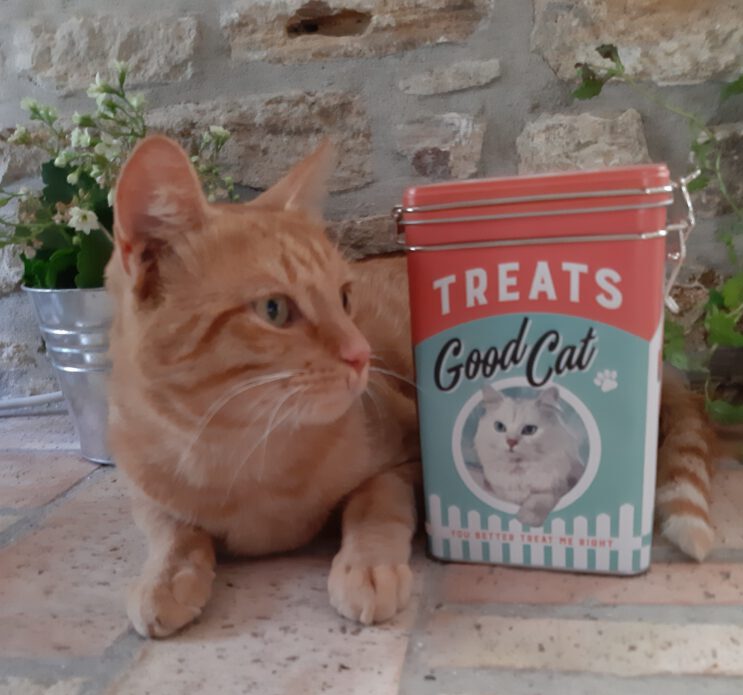 Aromadose Vorratsdose Good Cat Katzenfutter 1,3 L (Nostalgic Art)