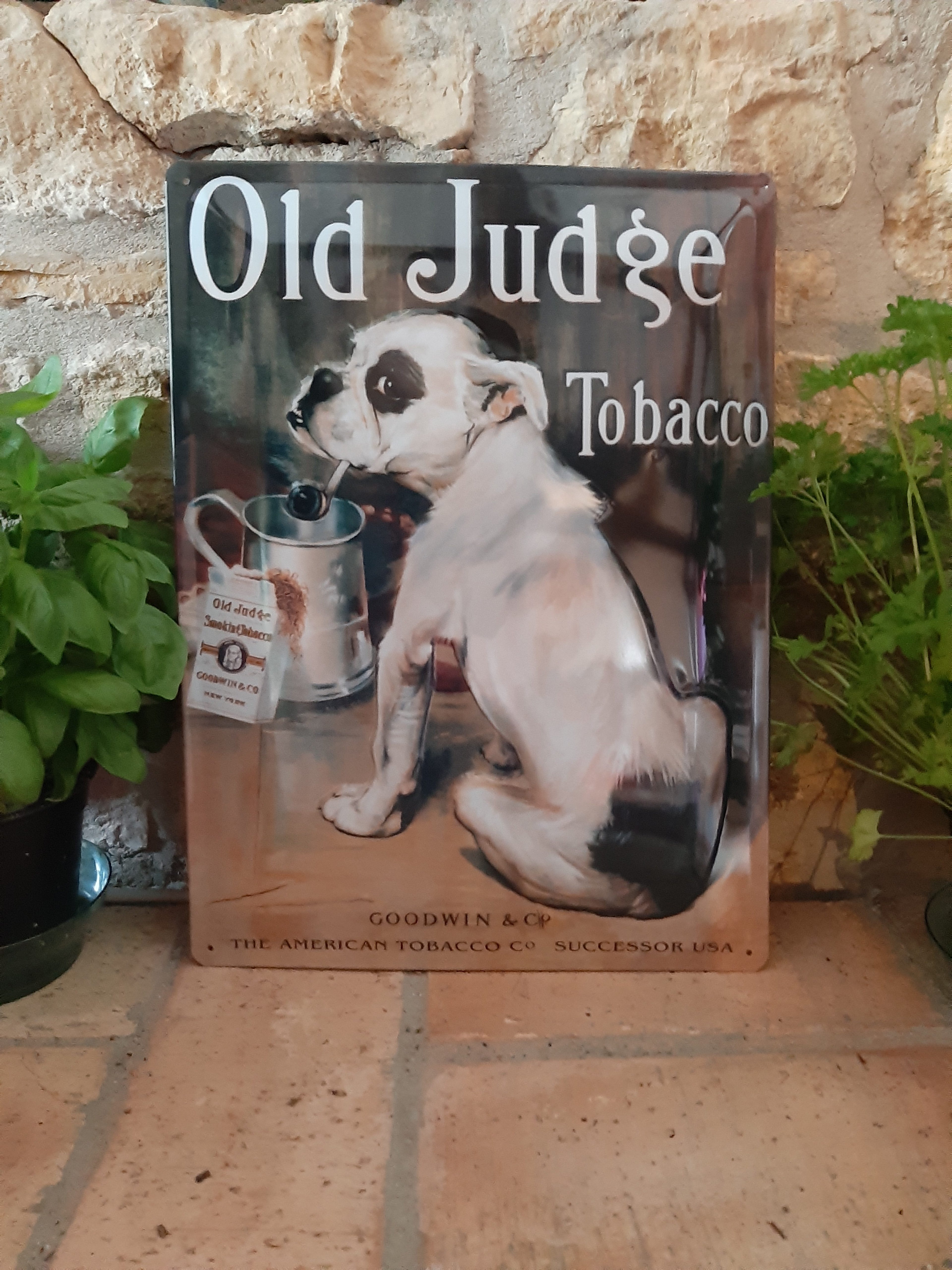 Blechschild Old Judge Tobacco - Bulldogge (30 x 40 cm)