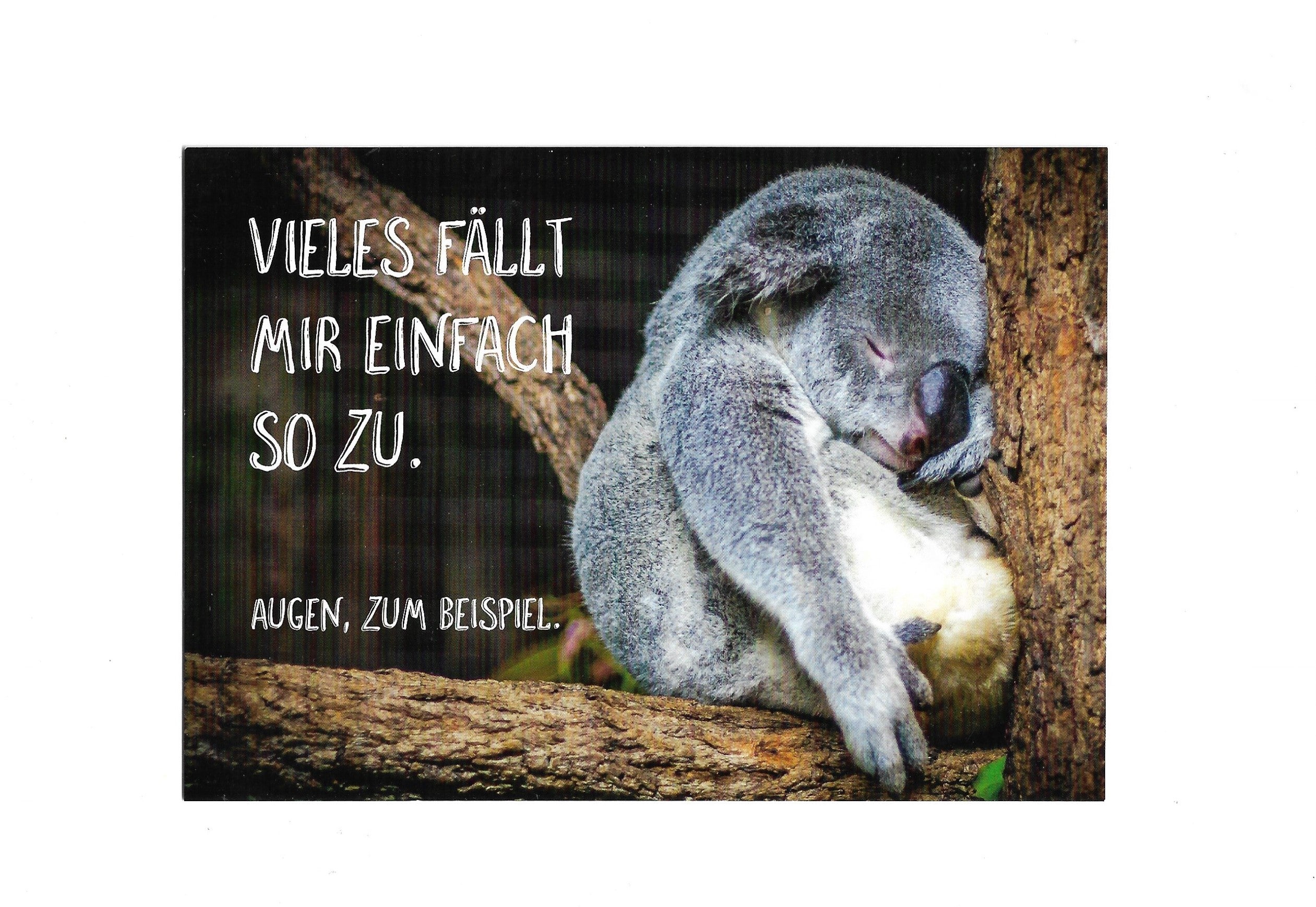Postkarte A6 Vieles fällt mir einfach so zu. Augen zum Beispiel