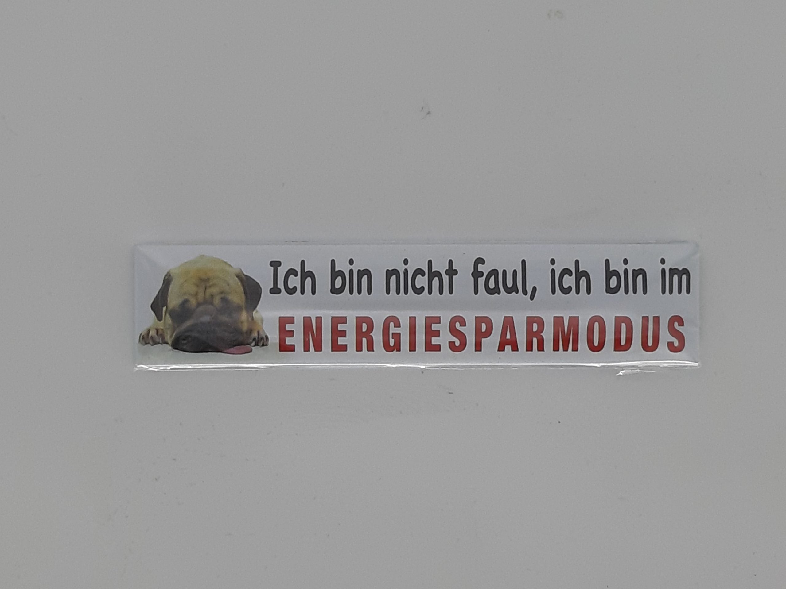 Magnet Straße "Ich bin nicht faul, ich bin im Energiesparmodus"