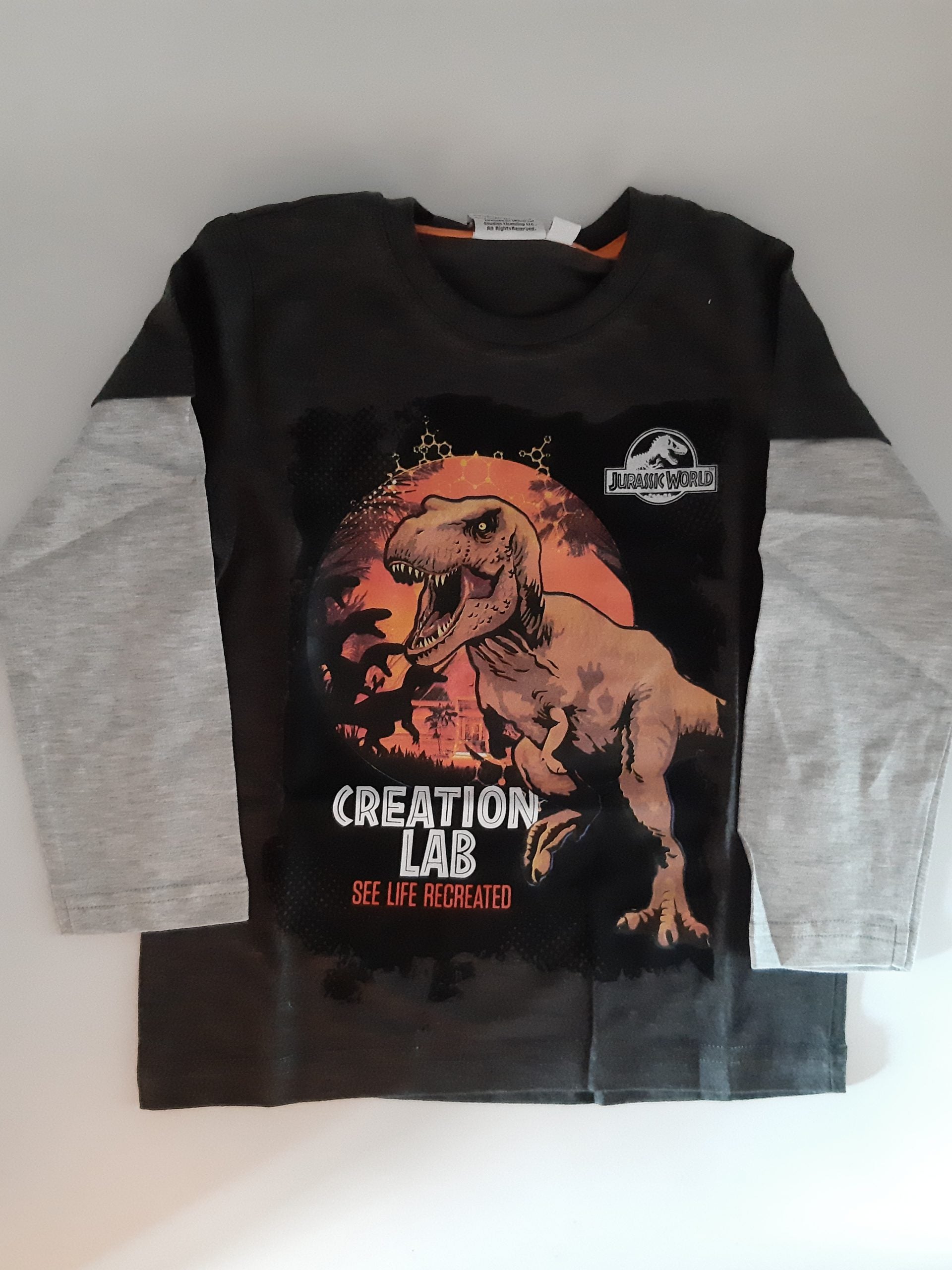 Langarmshirt Jurassic World  Größe 4 Jahre / 104 cm