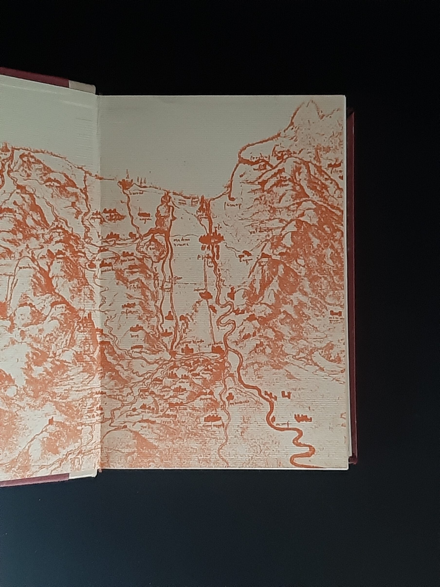 Historischer Roman Mereschkowski Leonardo Da Vinci Deutsche Buchgemeinschaft ca. 1930