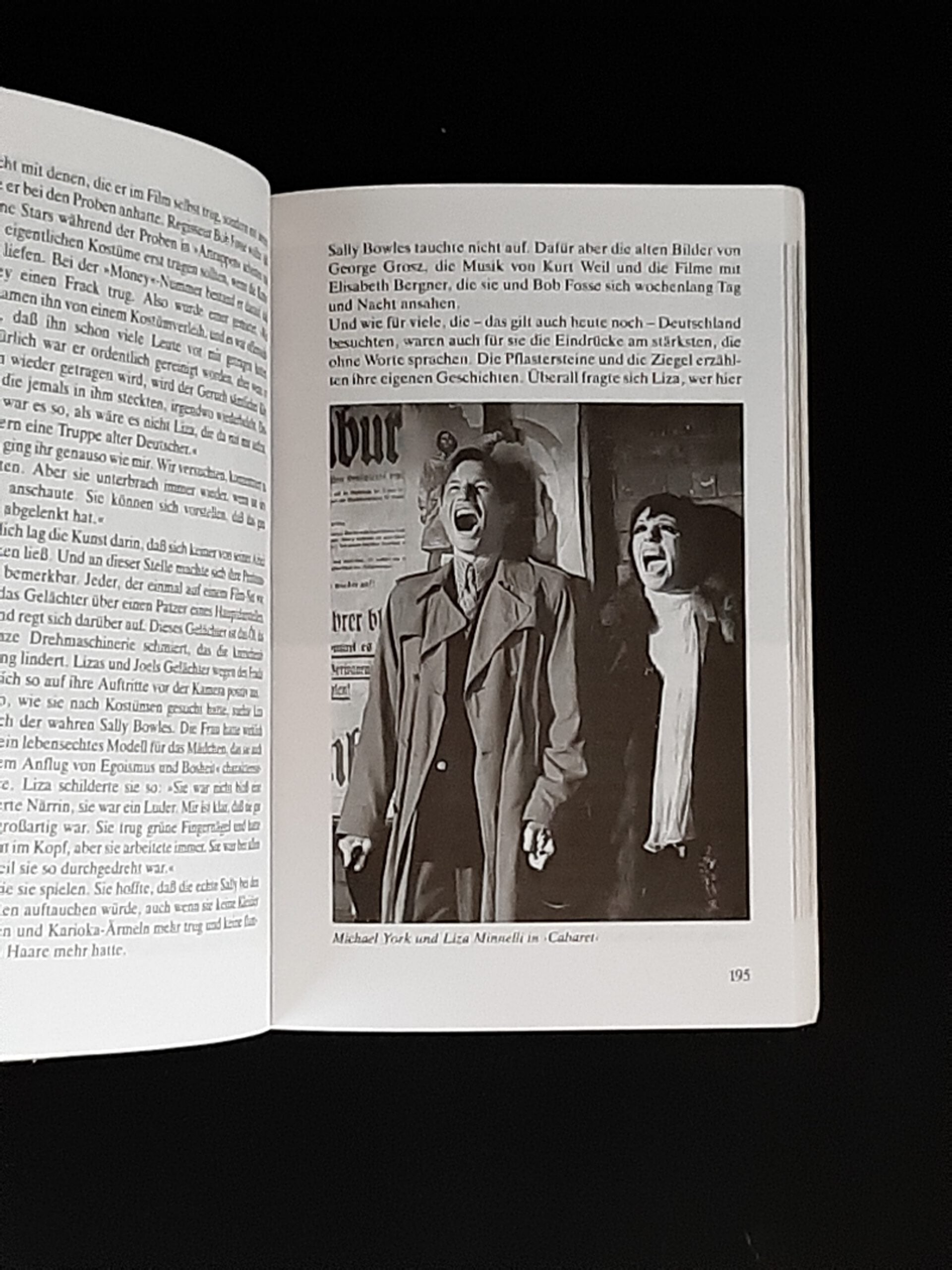 Film-Bibliothek Michael Freedland Liza Minelli  Heyne Filmbibliothek 1990