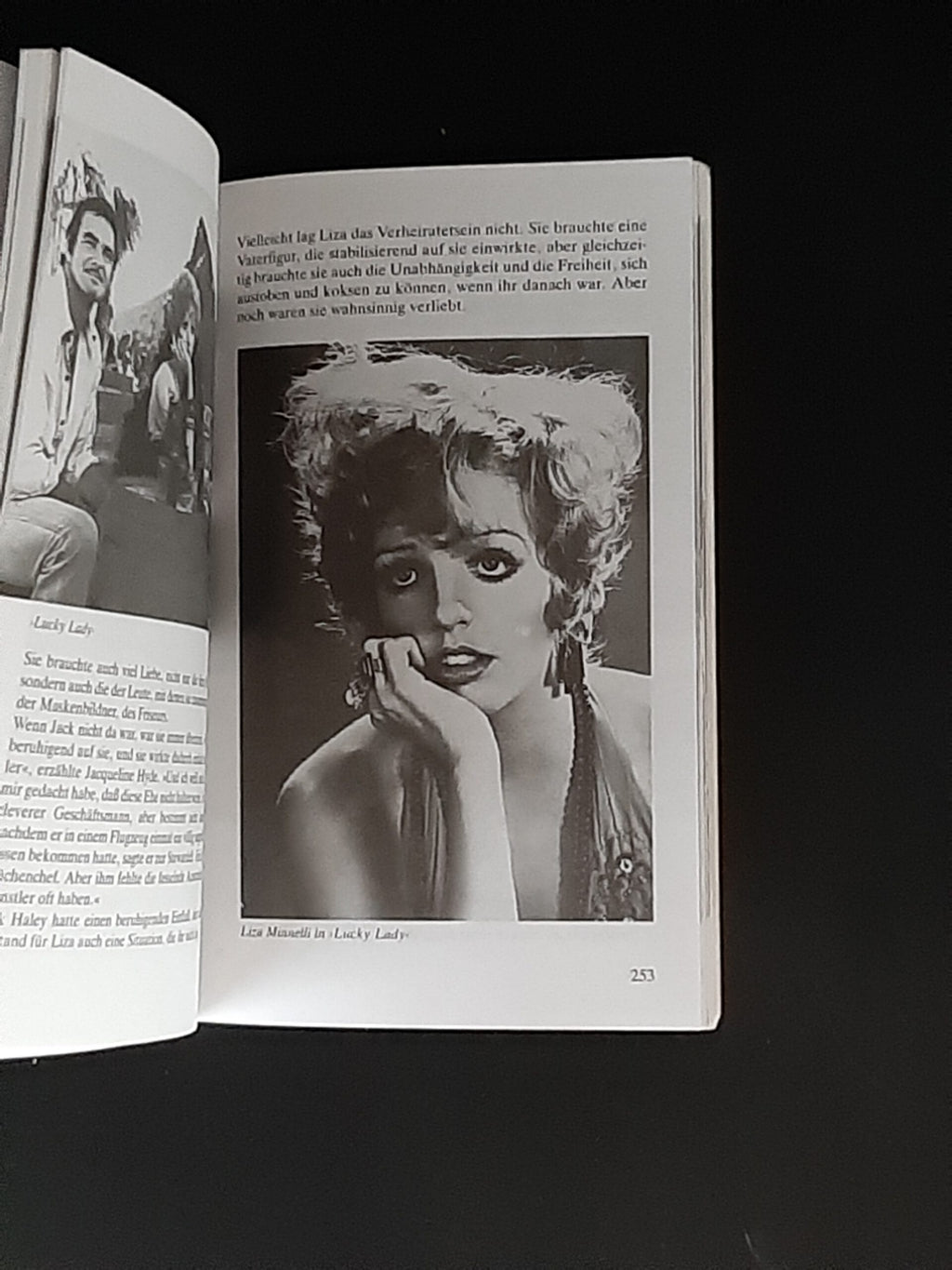 Film-Bibliothek Michael Freedland Liza Minelli  Heyne Filmbibliothek 1990