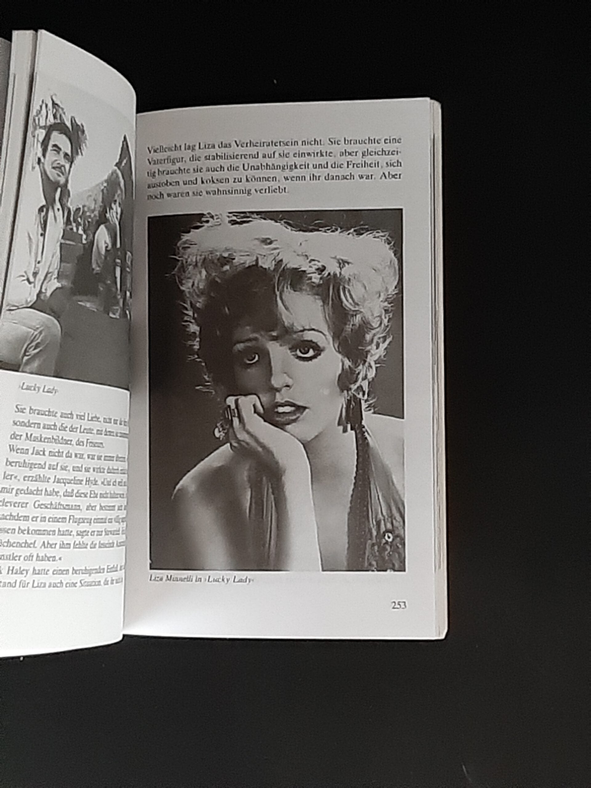 Film-Bibliothek Michael Freedland Liza Minelli  Heyne Filmbibliothek 1990