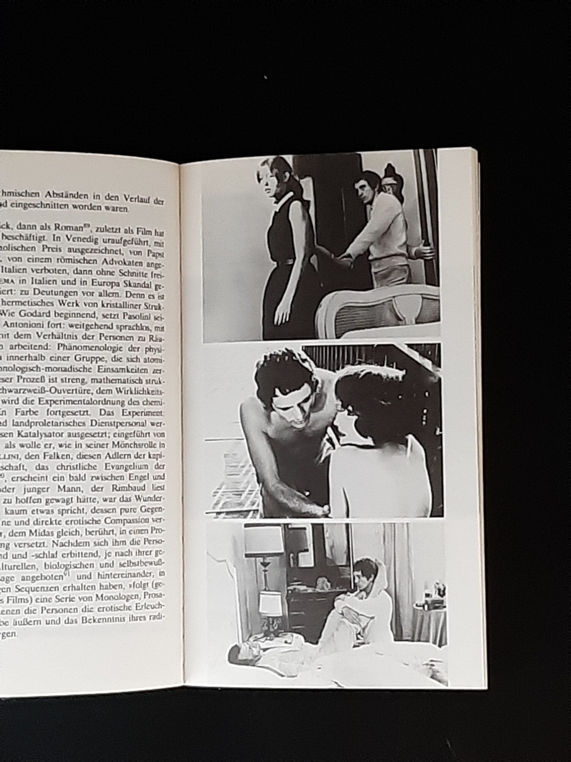 Film-Bibliothek Reihe Film 12 Pier Paolo Pasolini Hanser Verlag 1977