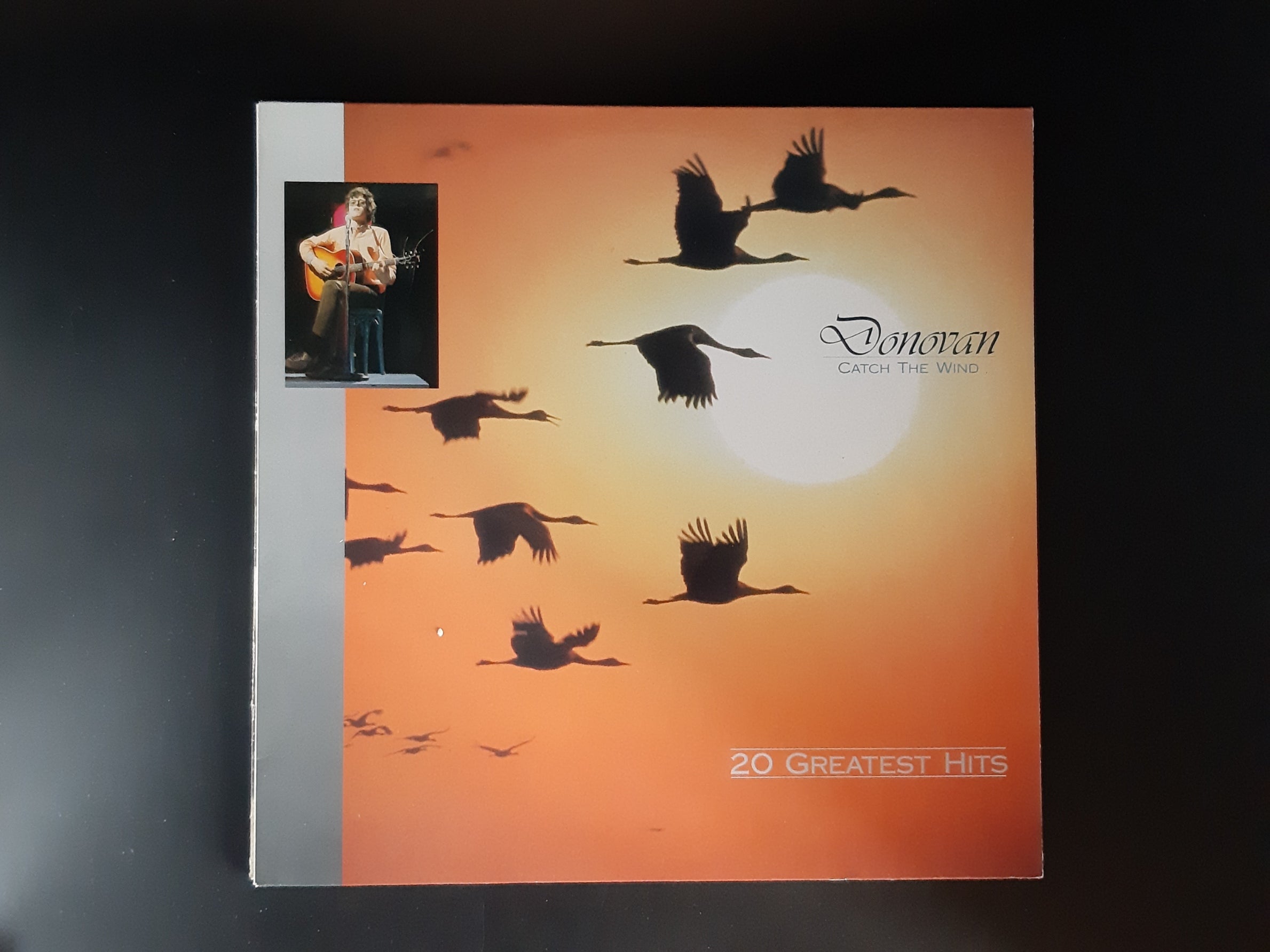 LP Schallplatte Vinyl  Donovan Catch the wind  - 20  Greatest Hits  Donna, Donna  PRT Green Line 1989