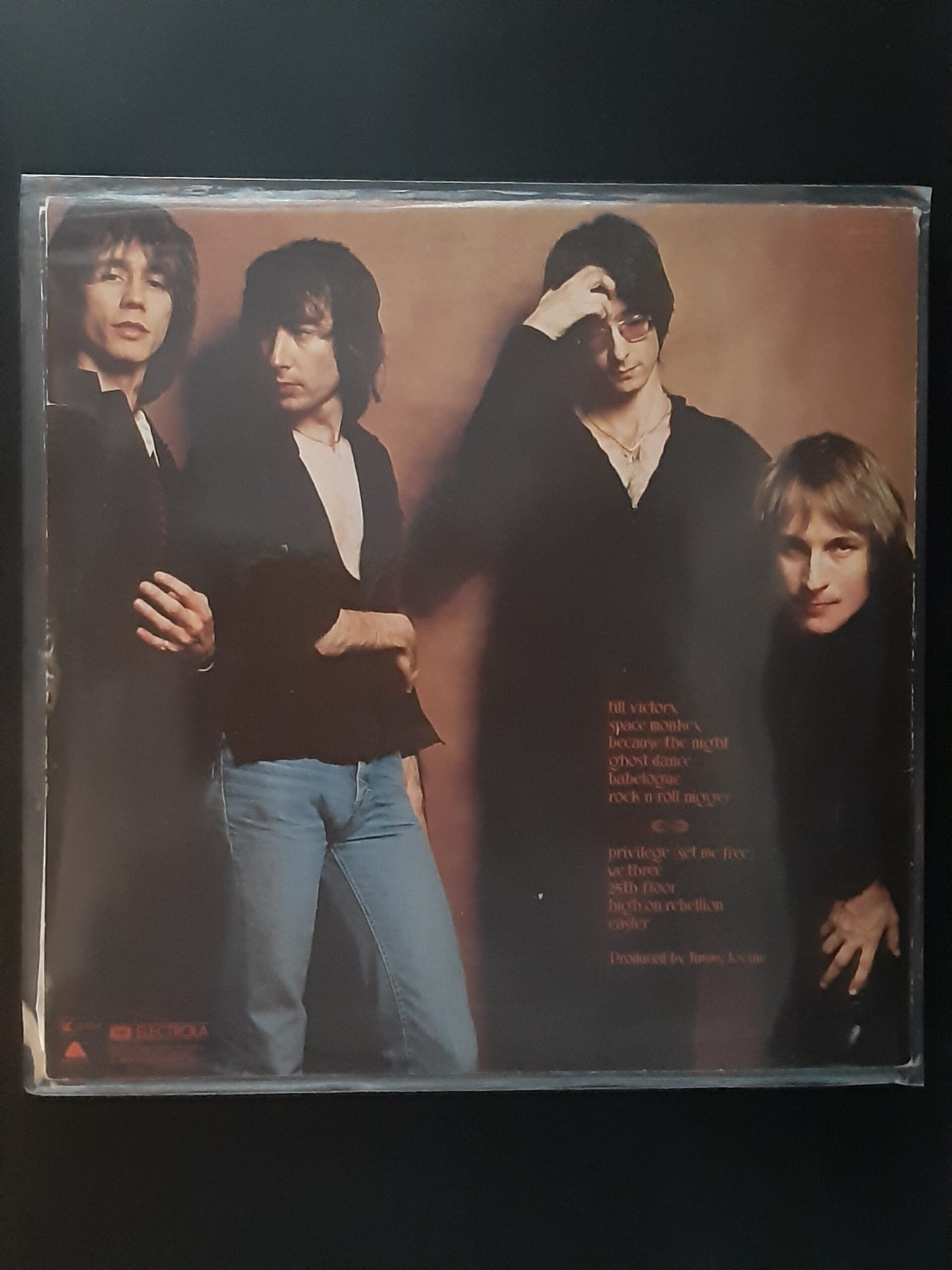 LP Schallplatte Vinyl Patti Smith Group Easter -Because the night- Arista 1978