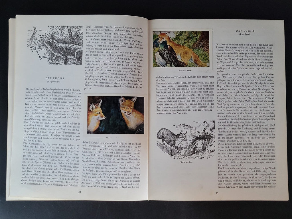 Alben SAMMELBILDERALBUM Artur Eickhorn Tiere aus Wald und Feld - Texte Albert Thümmel Herba-Verlag 1950