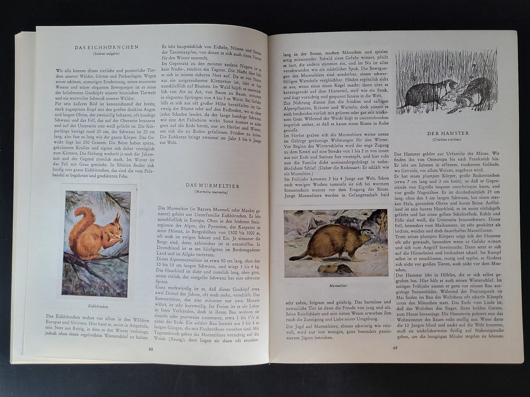 Alben SAMMELBILDERALBUM Artur Eickhorn Tiere aus Wald und Feld - Texte Albert Thümmel Herba-Verlag 1950