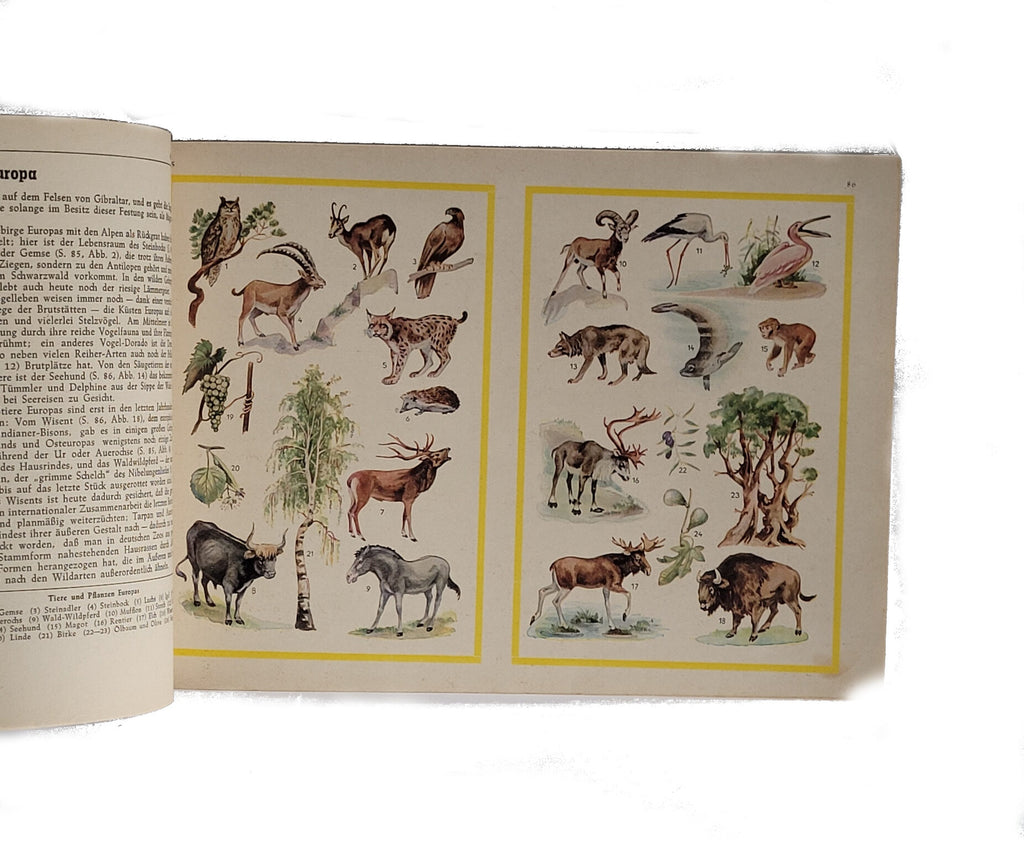 Alben SAMMELBILDERALBUM Unsere Erde Ein Weltatlas Geographie - Pflanzen - Tiere Idsteiner Zeitung ca. 1960