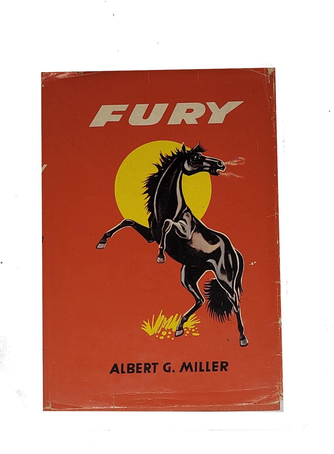 Fernseh-Nostalgie Albert G. Miller Fury Band 1 Engelbert Verlag 1959