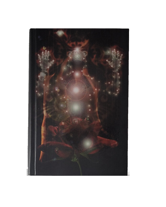 Englisch John Twelve Hawks - The Dark River - Book Two - Doubleday 2007