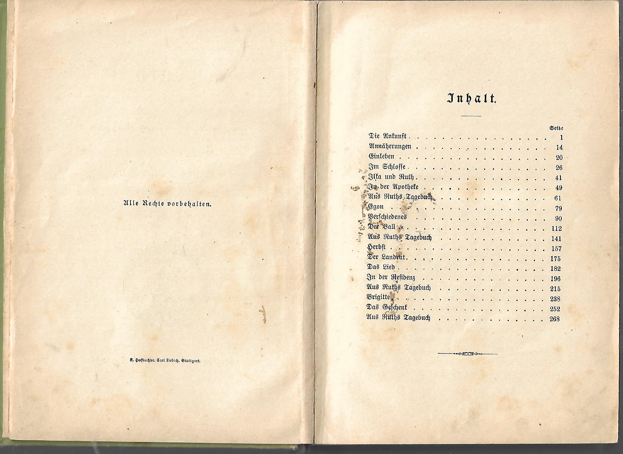 Alte Bücher Agnes Hoffmann Ruth - Erzählung für erwachsene Mädchen Gustav Weise Verlag, Stuttgart um 1900