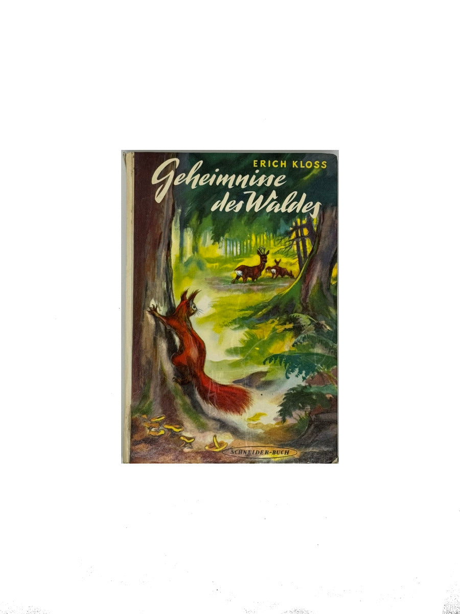 Jugendbuch Erich Kloss Geheimnisse des Waldes Schneider-Buch um 1960