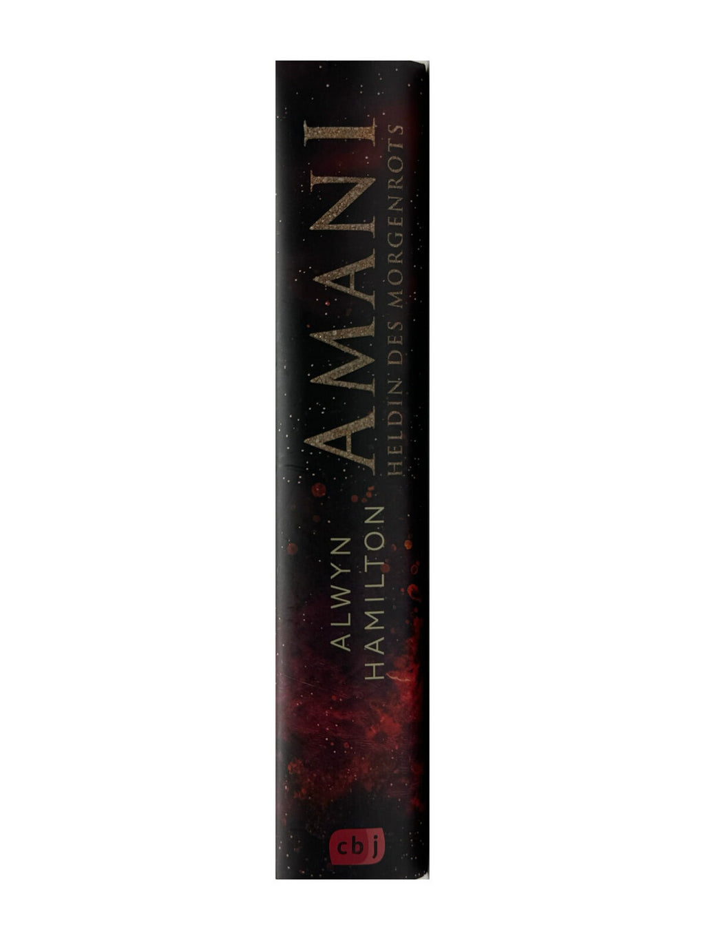 Fantasy Alwyn Hamilton Amani 2 Bände Rebellin des Sandes/Heldin des Morgenrots cbj-verlag 2016/2018