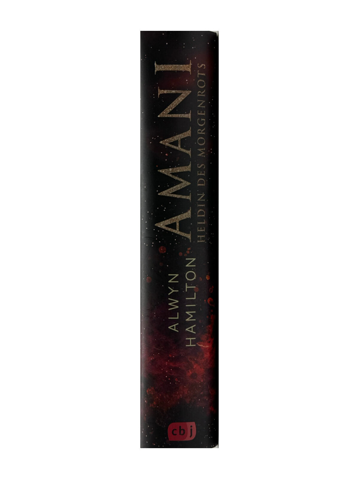 Fantasy Alwyn Hamilton Amani 2 Bände Rebellin des Sandes/Heldin des Morgenrots cbj-verlag 2016/2018
