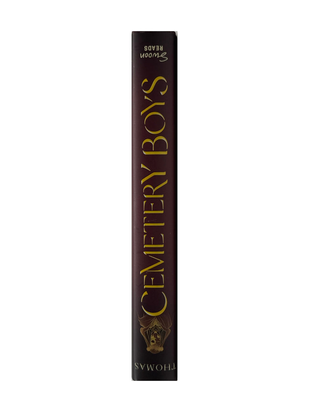 Englisch Aiden Thomas - Cemetery Boys Swoon Reads Book 2020