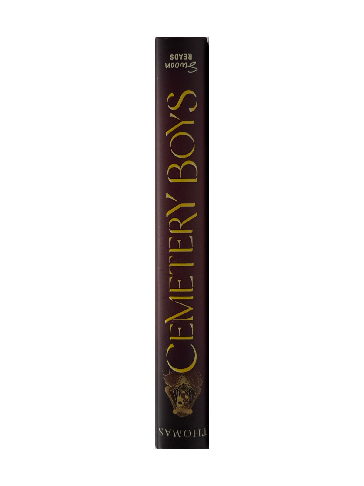 Englisch Aiden Thomas - Cemetery Boys Swoon Reads Book 2020