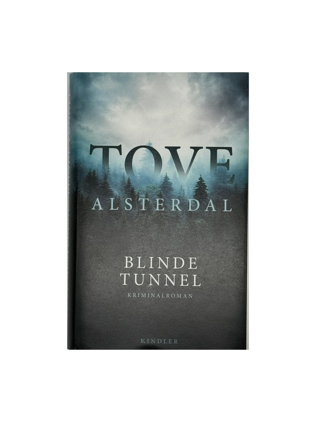 Tove Alsterdal Blinde Tunnel Kindler 2023 gebunden neuwertig