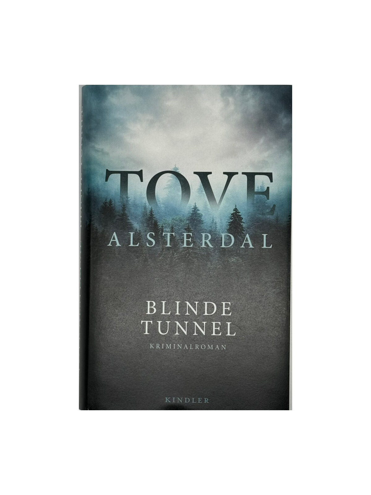 Tove Alsterdal Blinde Tunnel Kindler 2023 gebunden neuwertig