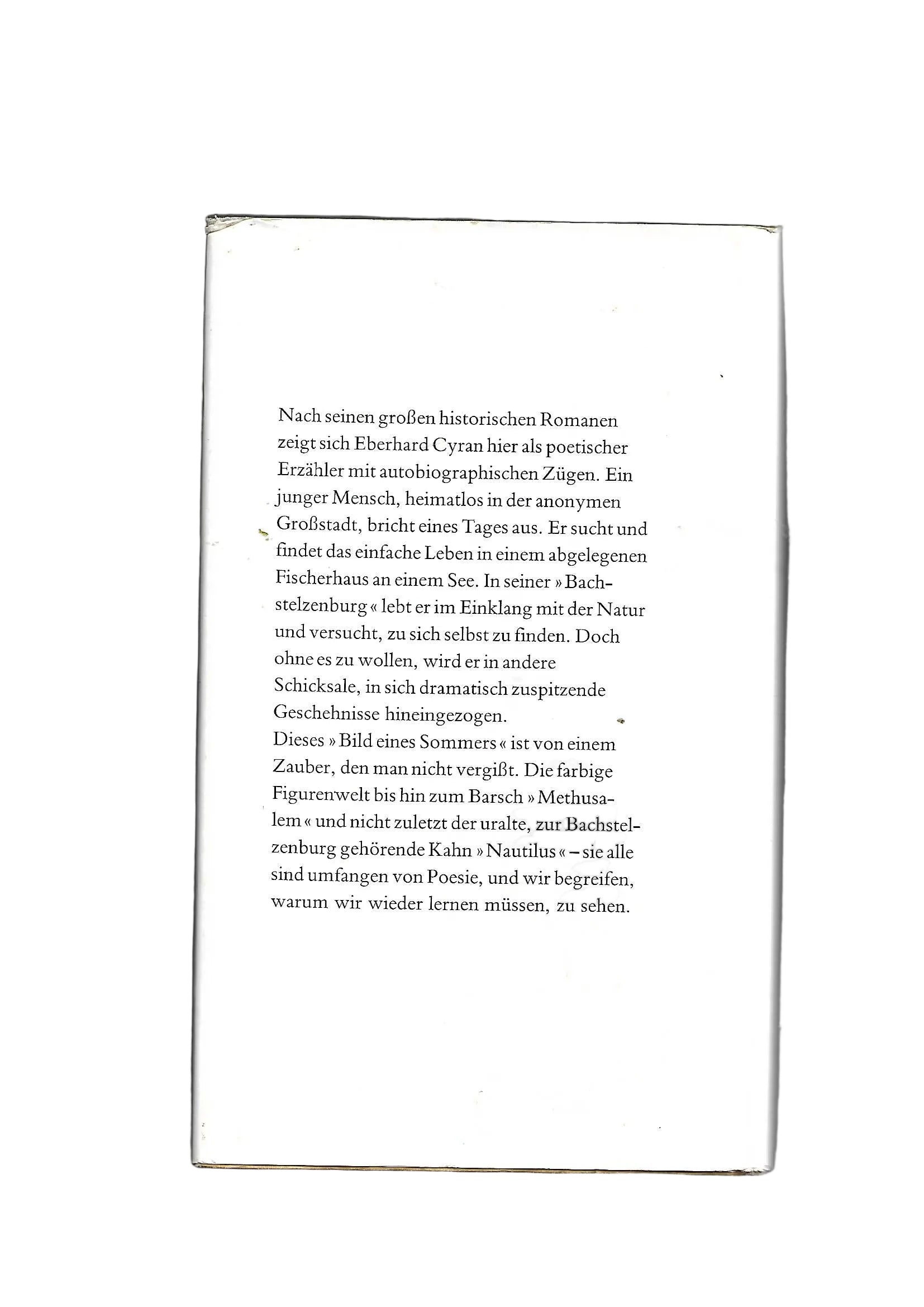 Belletristik Eberhard Cyran Bachstelzenburg Eugen Salzer-Verlag Heilbronn 1987