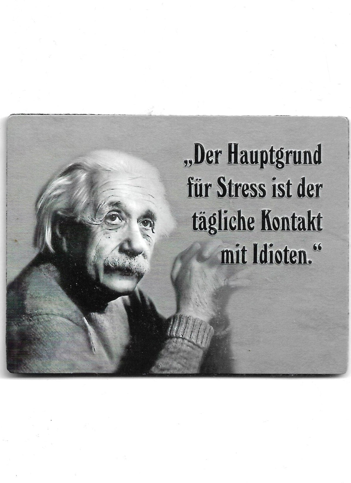 Großer rechteckiger Kühlschrankmagnet im XL-Format in Schwarz-Weiß mit einem Porträt von Albert Einstein und dem Spruch "Der Hauptgrund für Stress ist der tägliche Kontakt mit Idioten."