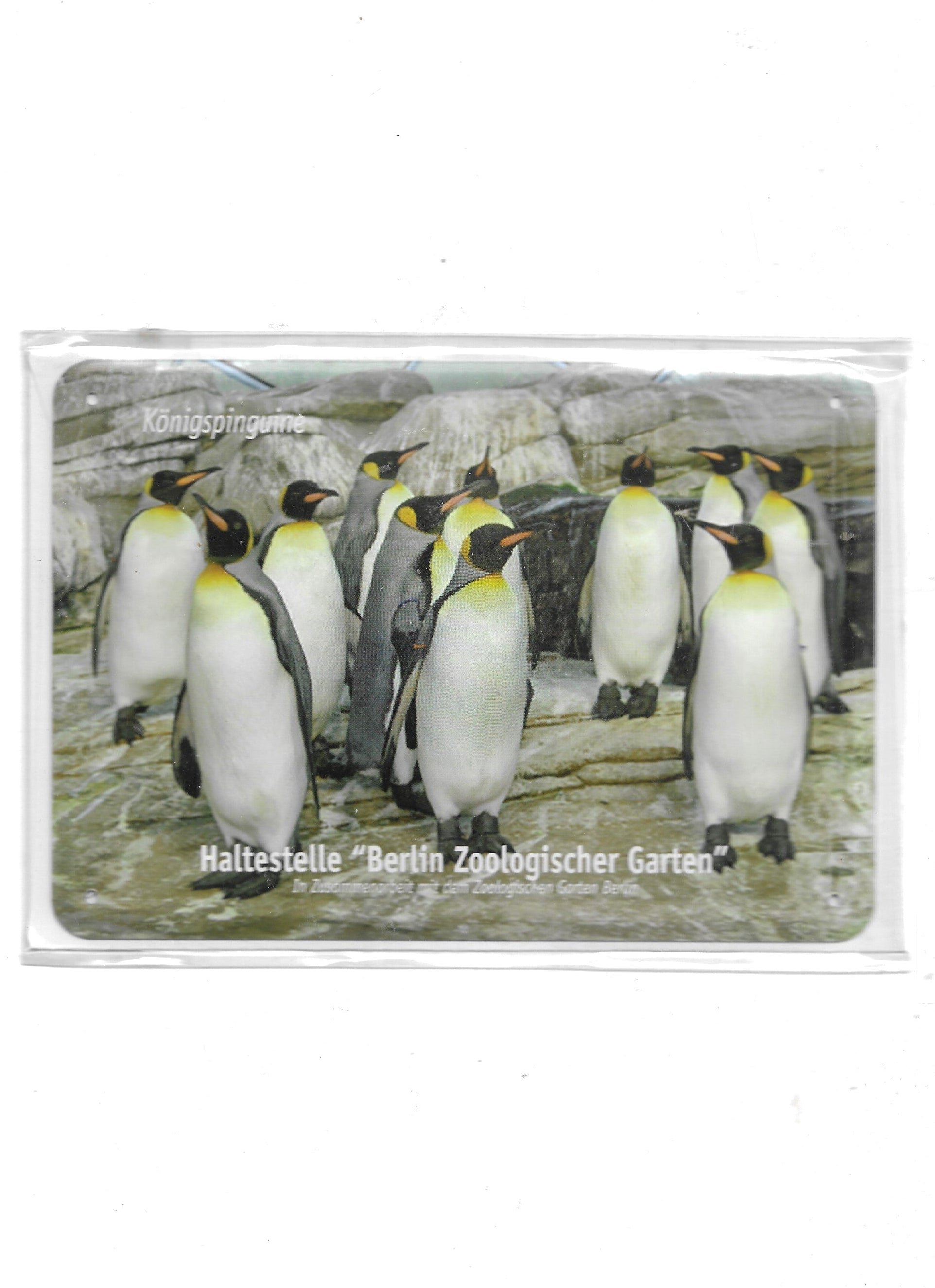 Blechpostkarte Berliner Zoo - Königspinguine
