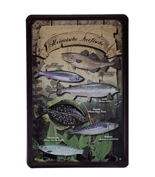 Blechschild Fischarten - Heimische Seefische (20 x 30 cm)