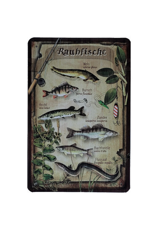 Blechschild Fischarten - Raubfische (20 x 30 cm)