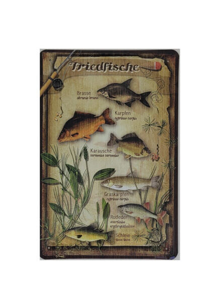 Blechschild Fischarten - Friedfische (20 x 30 cm)