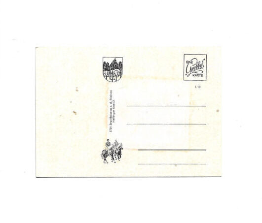Postkarte Ansichtskarte Grüße aus Bruchhausen a. d. Steinen - Haftlinger Gestüt - eine Grobbel Karte