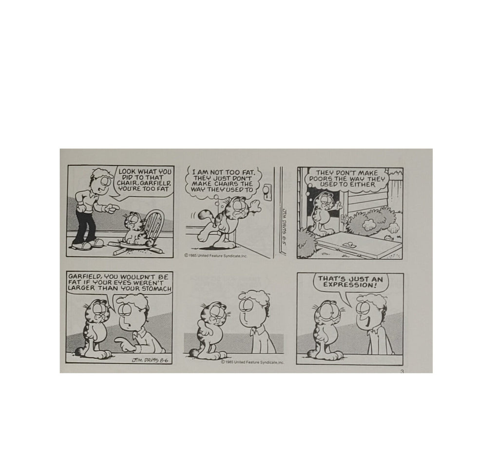 Englisch Jim Davies Garfield food for thought - his 13th book - Ballantine Books 1987