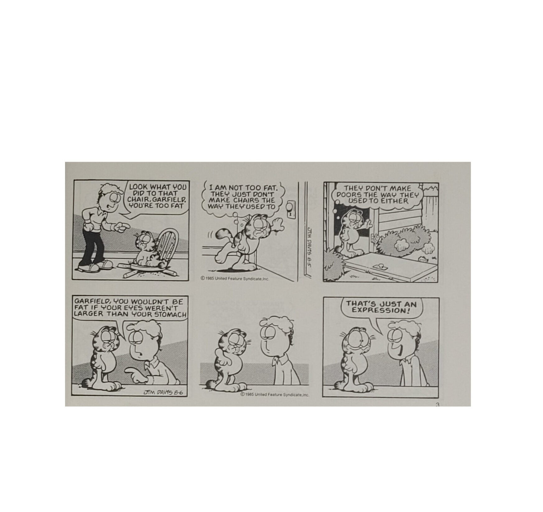Englisch Jim Davies Garfield food for thought - his 13th book - Ballantine Books 1987
