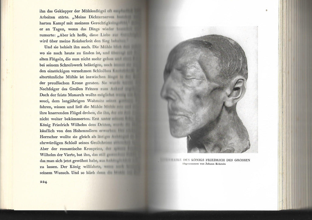 Zeitgeschichte Herbert Eulenberg Die Hohenzollern Bruno Cassirer Verlag 1928