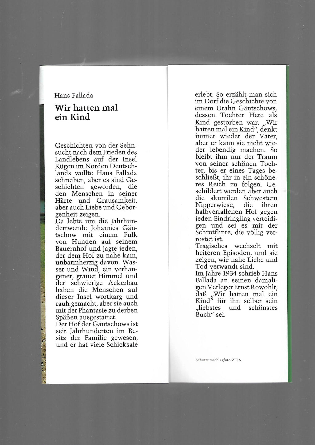 Belletristik Hans Fallada Wir hatten mal ein Kind Lingen Verlag