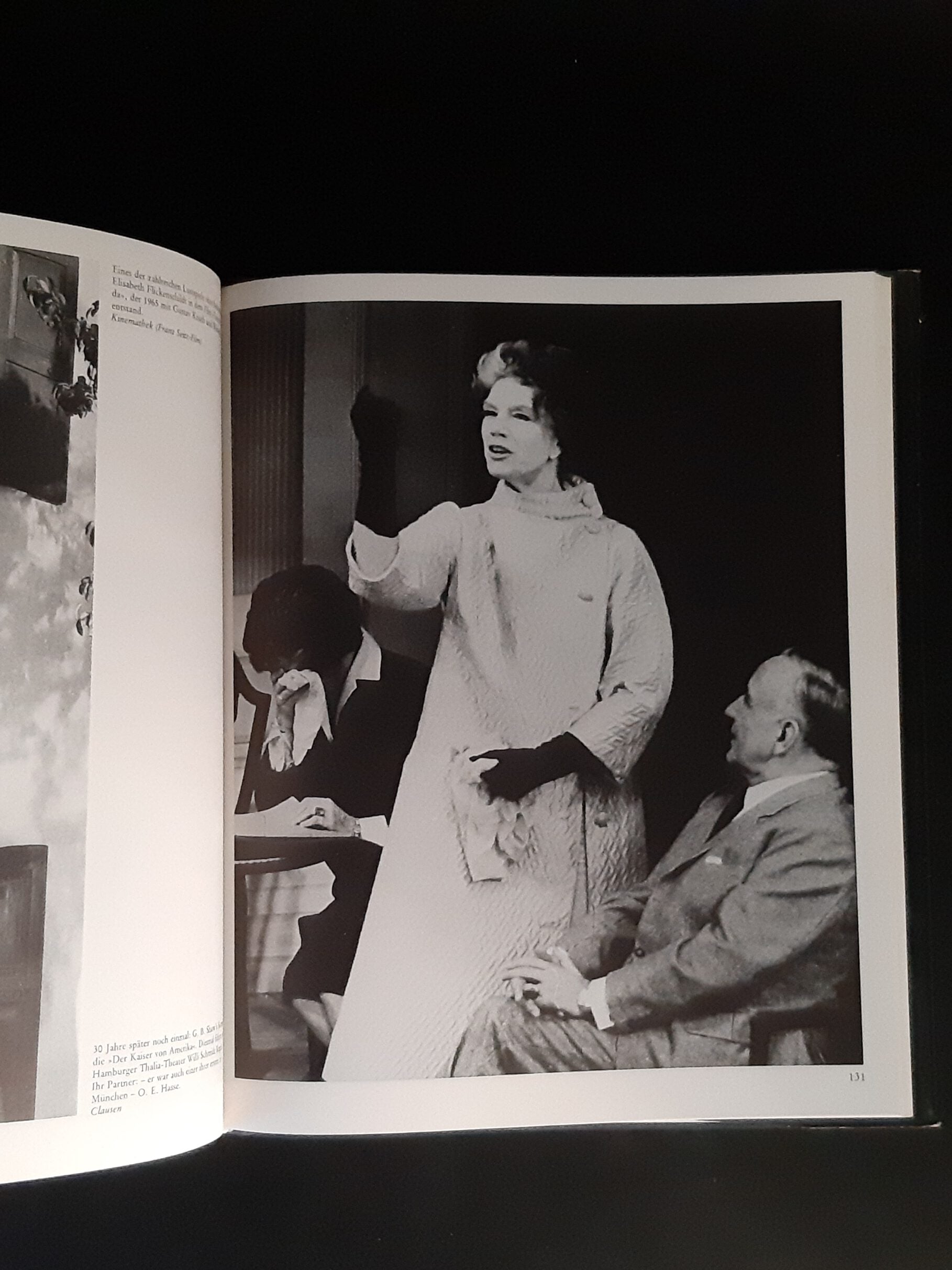 Film-Bibliothek Elisabeth Flickenschildt Theater ist  Leidenschaft - eine Bilddokumentation Hoffmann und Campe 1978