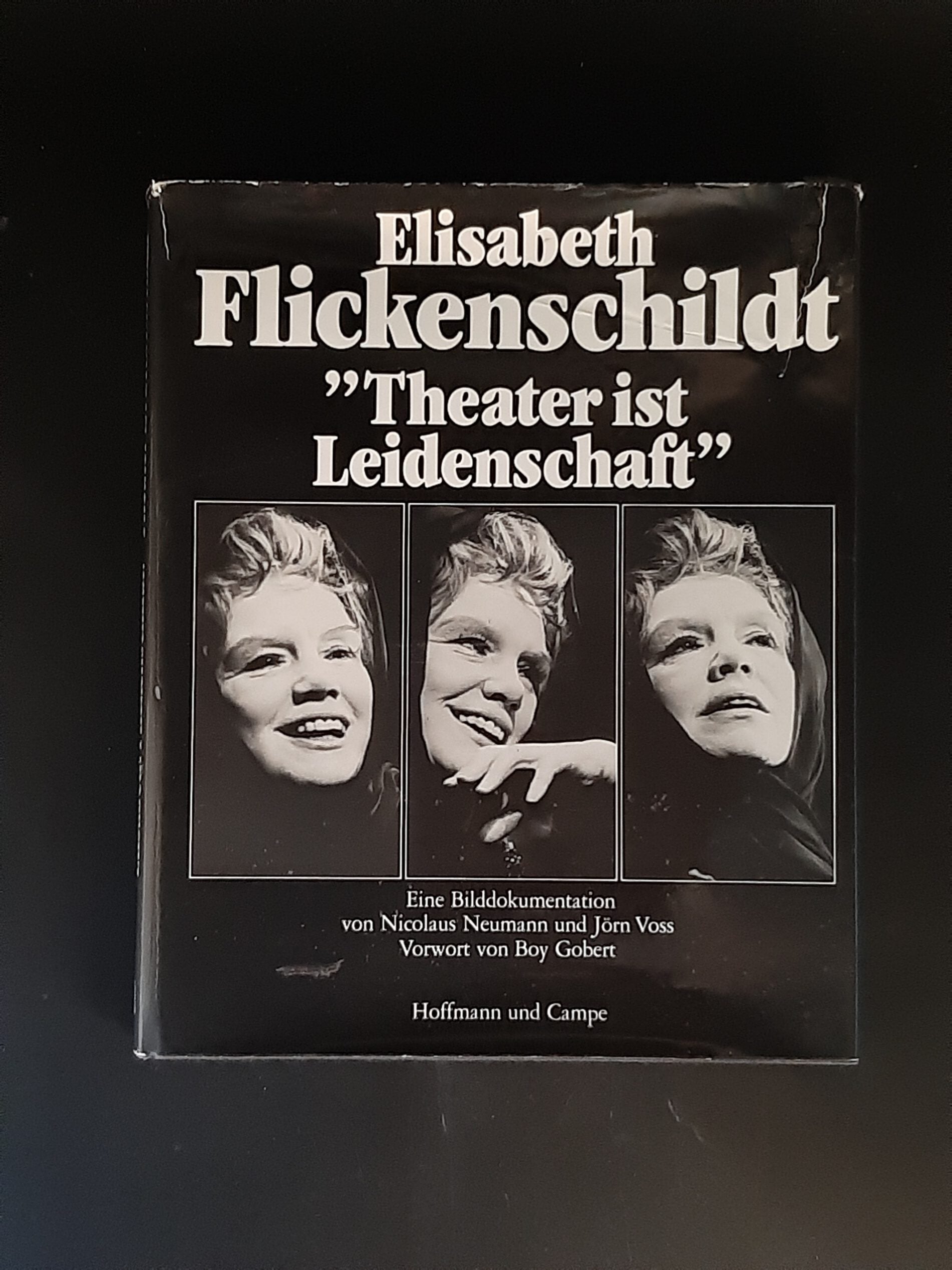Elisabeth Flickenschildt Theater ist Leidenschaft Hoffmann und Campe 1978 gebunden gebraucht Schutzumschlag leicht beschädigt