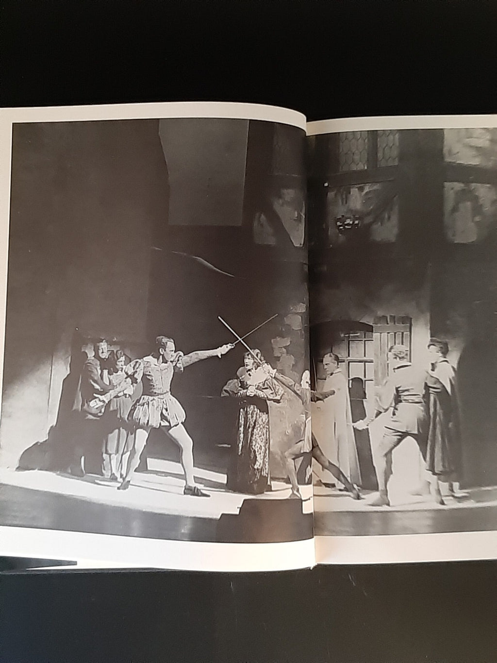 Film-Bibliothek Elisabeth Flickenschildt Theater ist  Leidenschaft - eine Bilddokumentation Hoffmann und Campe 1978
