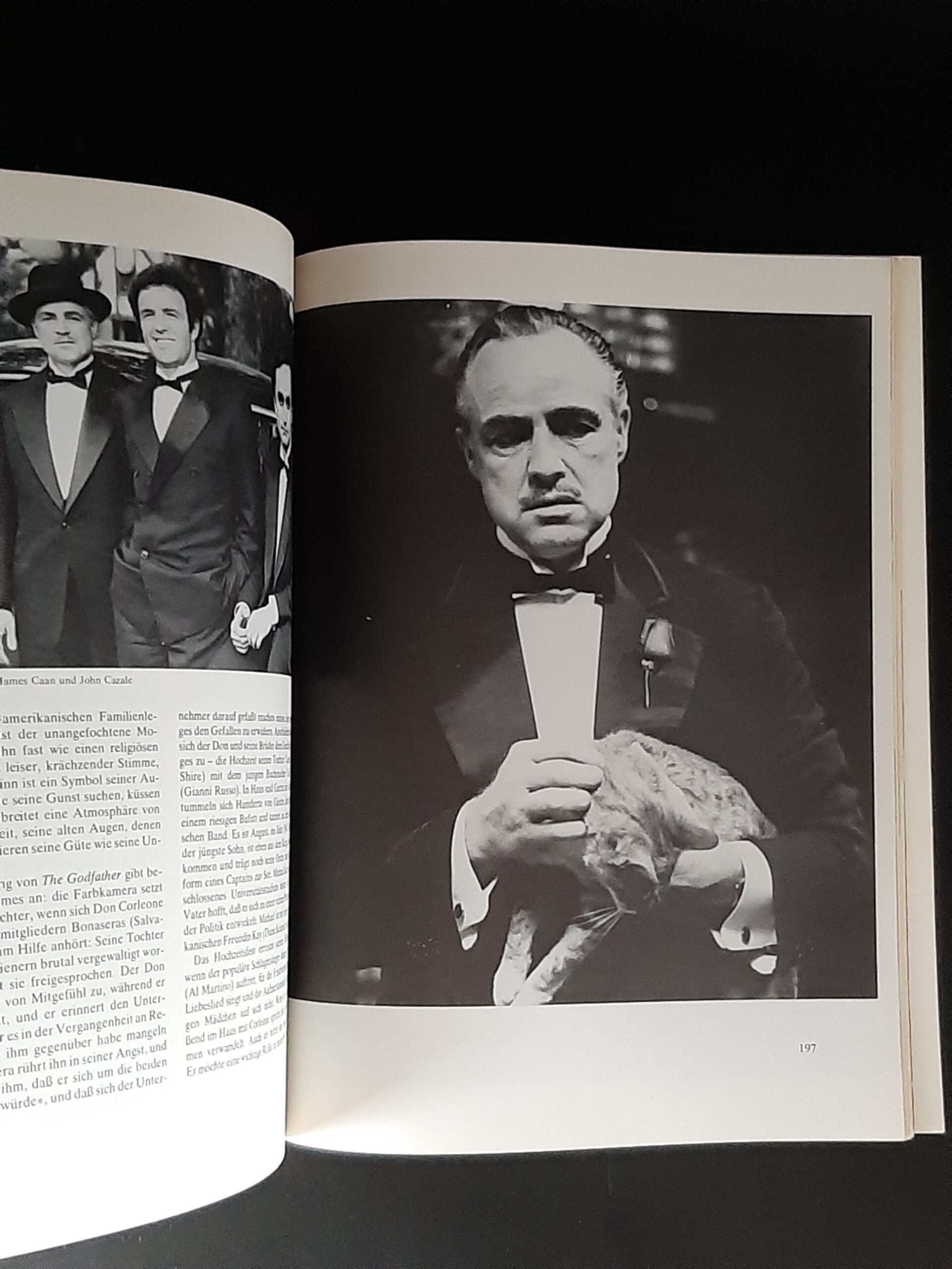 Film-Bibliothek Citadel-Filmbücher Marlon Brando und seine Filme Bertelsmann Lizenzausgabe 1980