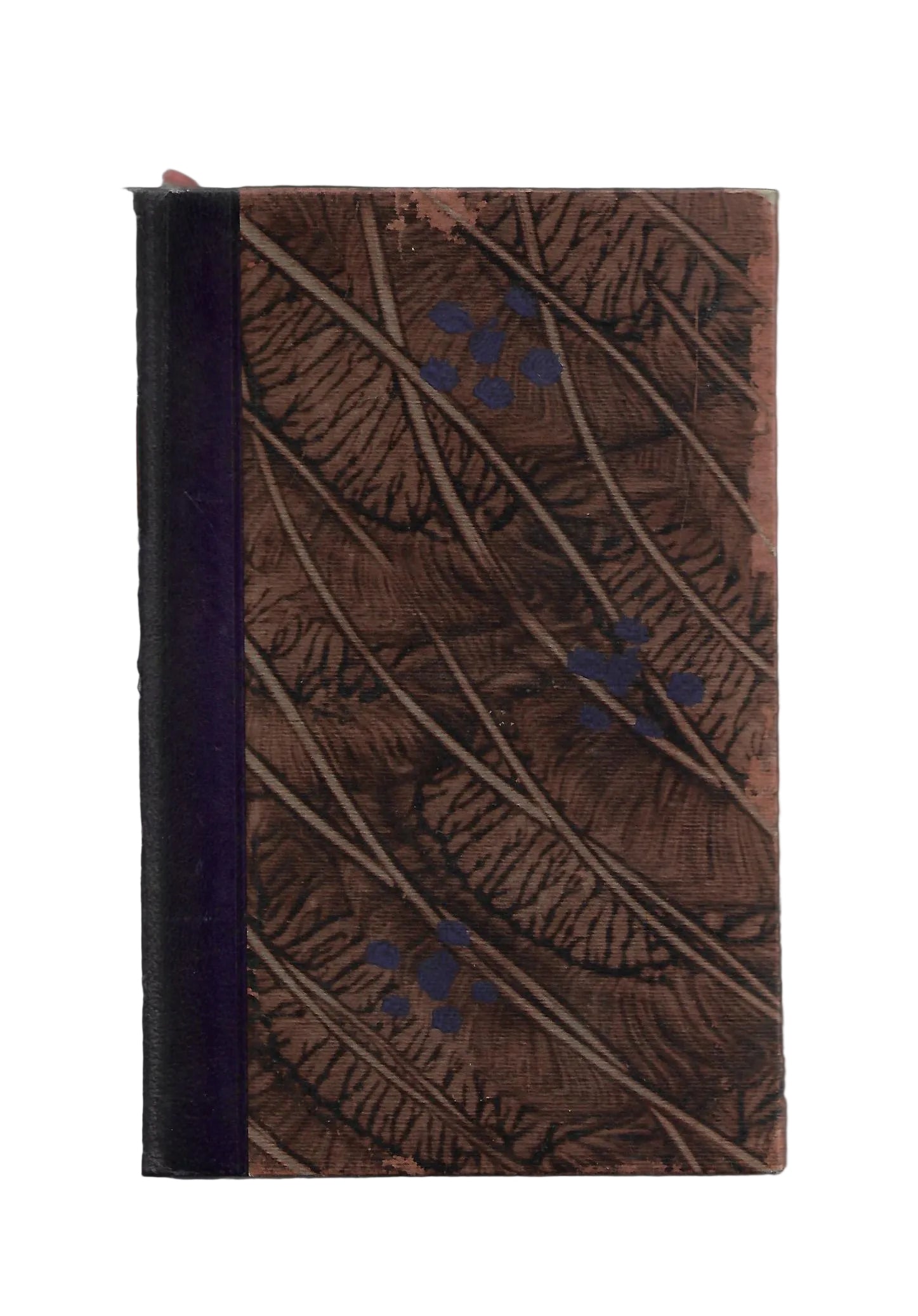 Historischer Roman Wilhelm Hauff Lichtenstein Eine romantische Sage Paul Franke Verlag Berlin ca. 1920