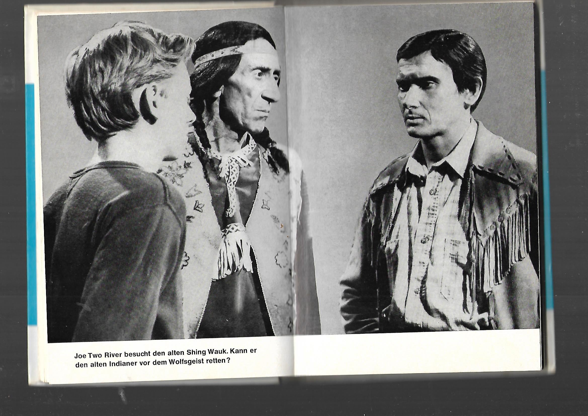 Fernseh-Nostalgie Indian River Peter Dubina Wolfsjagd am Indianerfluß Schneider-Buch 1971