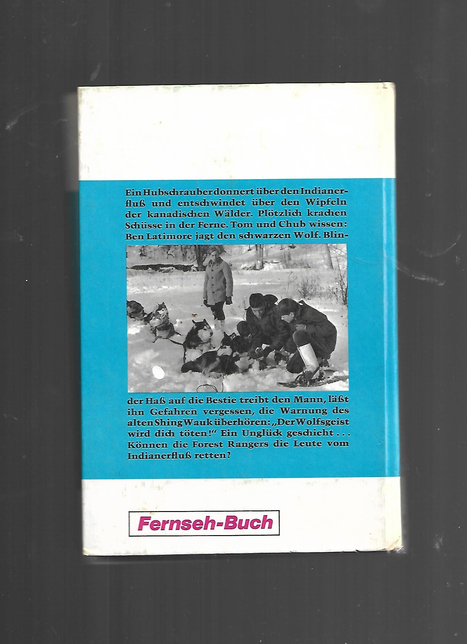 Fernseh-Nostalgie Indian River Peter Dubina Wolfsjagd am Indianerfluß Schneider-Buch 1971