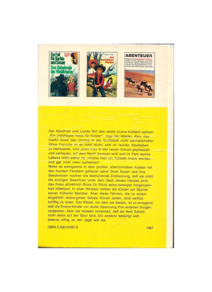 Jugendbuch Betty K. Erwin  - Die geheimnisvollen Augen