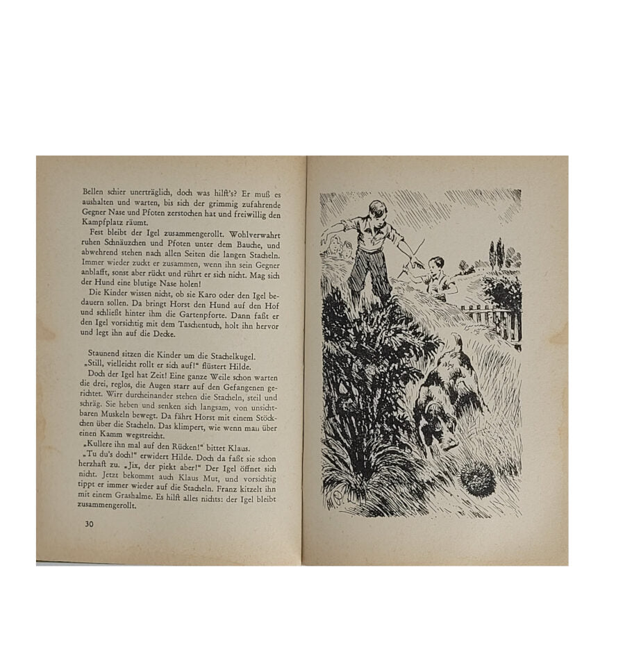 Jugendbuch Erich Kloss - Sommertage im Försterhaus