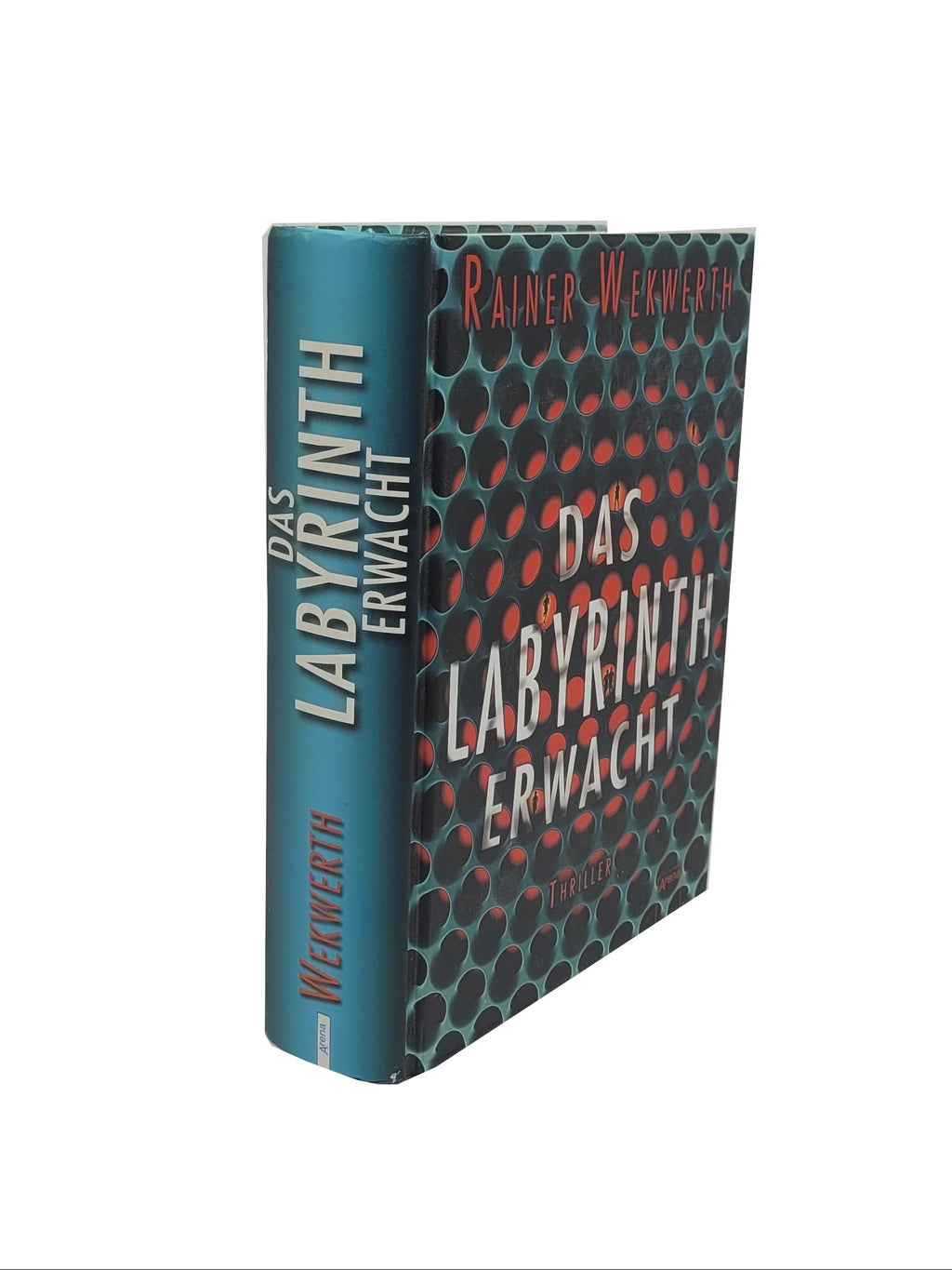 „Buch ‚Das Labyrinth erwacht‘ von Rainer Wekwerth, Jugend‑Abenteuerroman in gutem gebrauchten Zustand.“