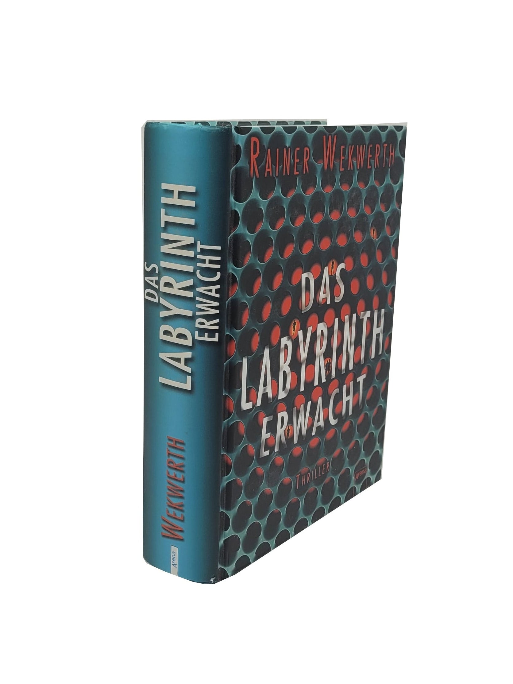 „Buch ‚Das Labyrinth erwacht‘ von Rainer Wekwerth, Jugend‑Abenteuerroman in gutem gebrauchten Zustand.“