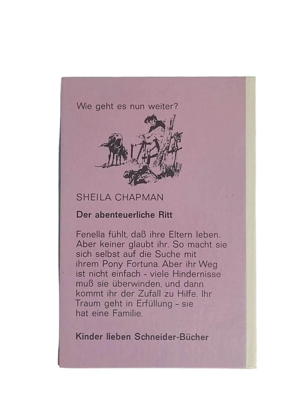 Jugendbuch Sheila Chapman - Der abenteuerliche Ritt -Schneider-Buch-1971