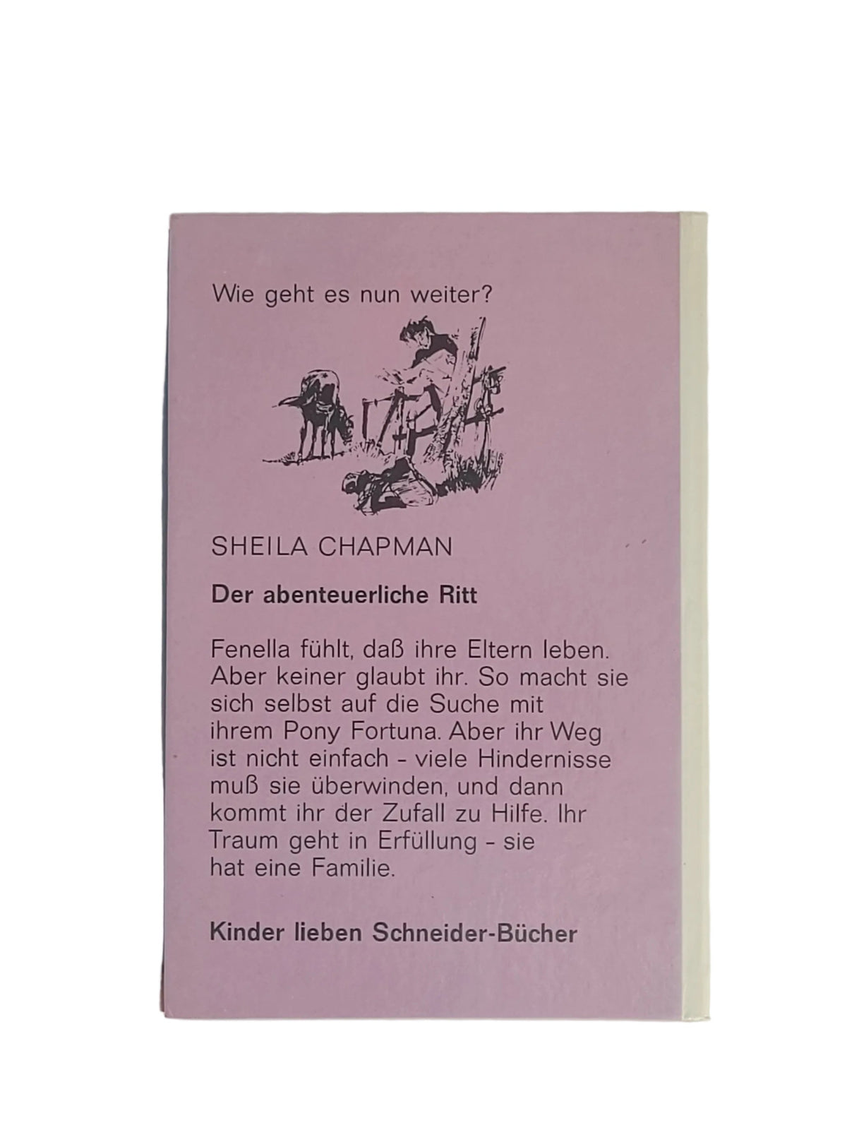 Jugendbuch Sheila Chapman - Der abenteuerliche Ritt -Schneider-Buch-1971
